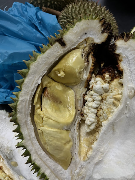 DURIAN PAK JAINI