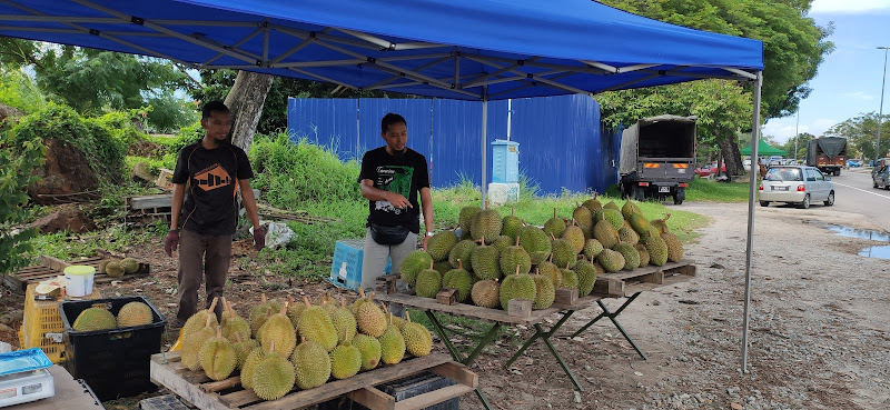 Durian viral cheng