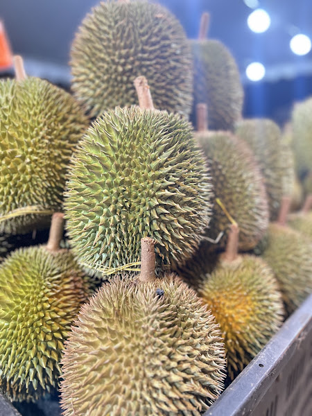 Durian Pok Wan