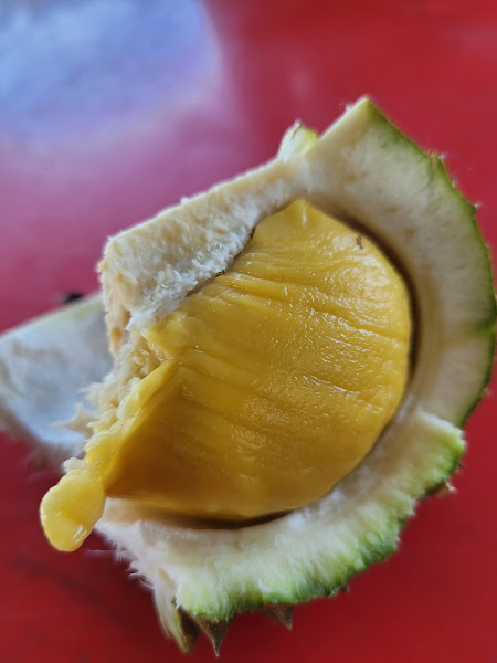 Durian