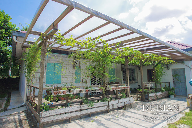Durian Guesthouse 流連宿