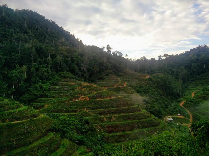 Able Land Sdn Bhd - Durian Garden