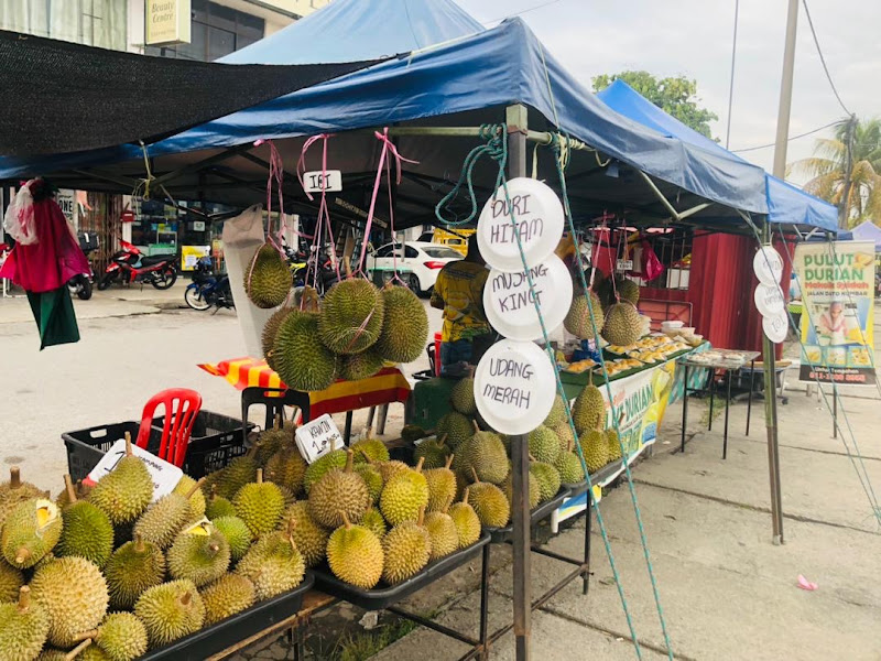 Makcik Shidah Pulut Durian