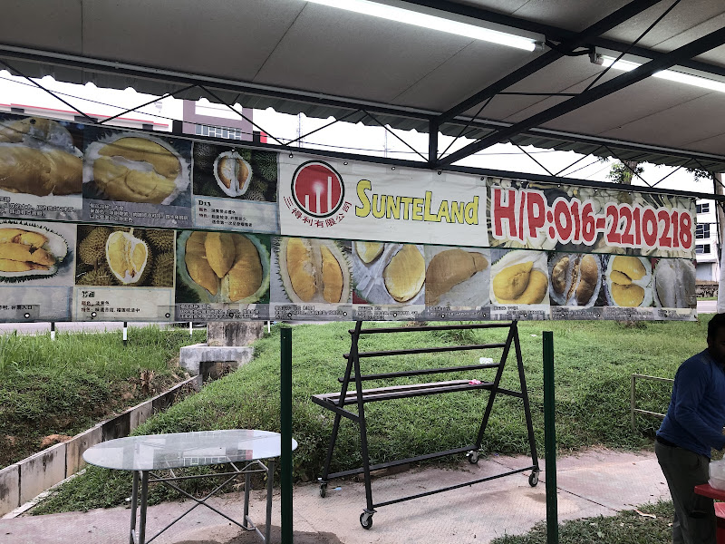 Sunteland Musang King