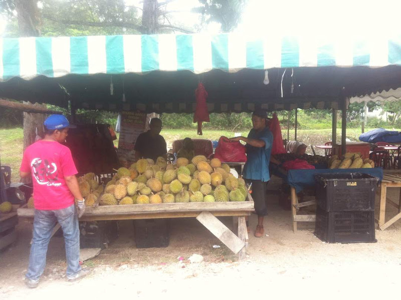ALONG BUAH JELEBU