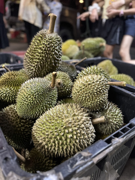 加亨老Tan榴莲-Kahang Uncle Tan Durian Farm