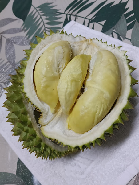 Durian Balik Pulau Izal Riho