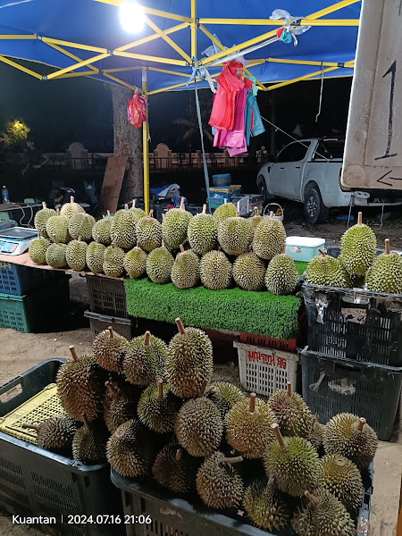 ZAIDI DURIAN D' TG LUMPUR