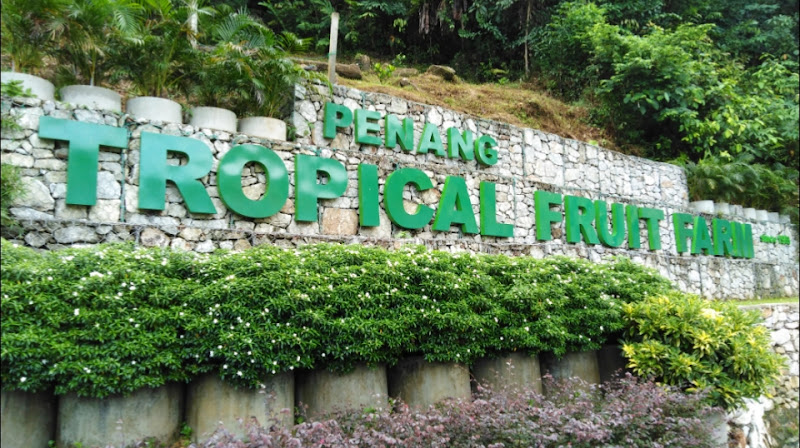 Tropical Fruit Farm