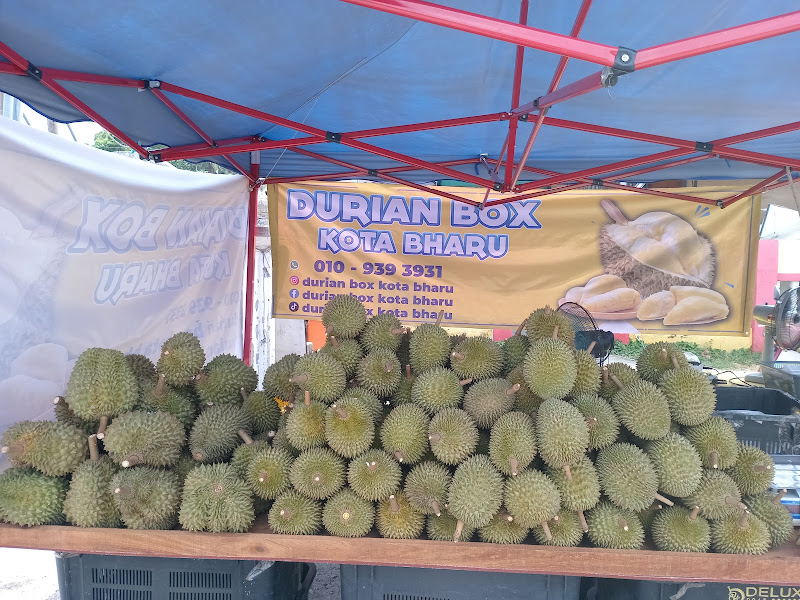 Durian Box KB