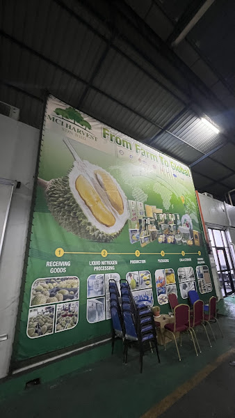 M Durians Fruit (China) Sdn. Bhd.