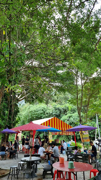 202 Sg. Pinang Middle of Nowhere Durian King (老树榴莲王)