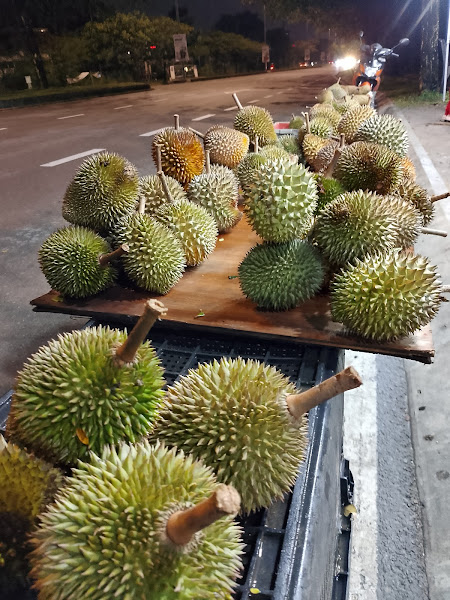 DURIAN YOP SETIA ALAM
