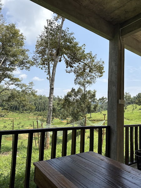H’ng Durian plantation 盛来榴莲