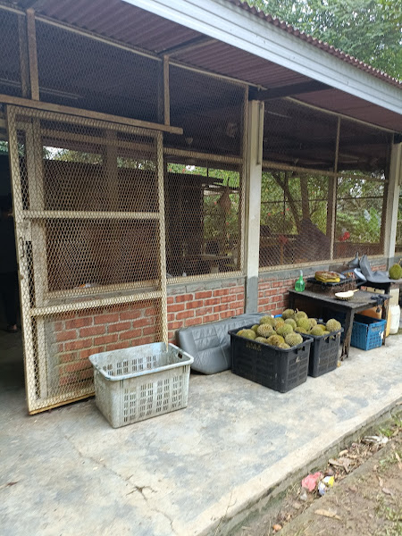 Gapam Eco Farm