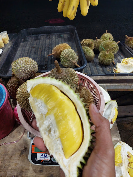 DURIAN BALIK PULAU