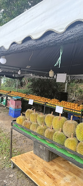 Kedai Durian Tepi jln