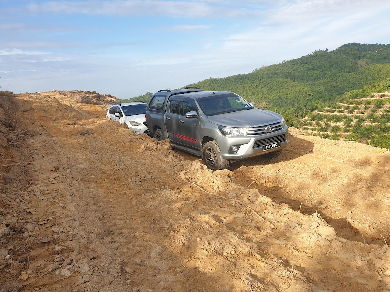 Foo Lim Musang King Durian Farm