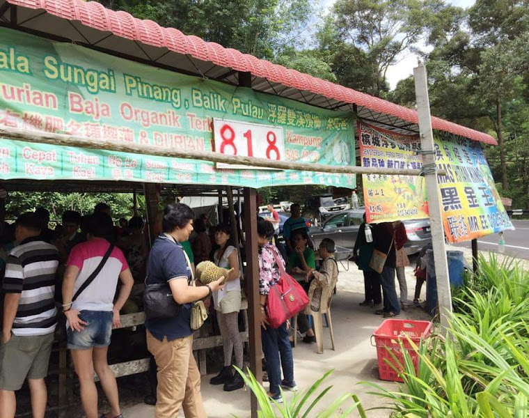 Balik Pulau Durian
