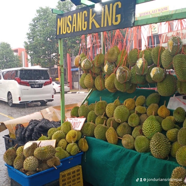 Jon Durian