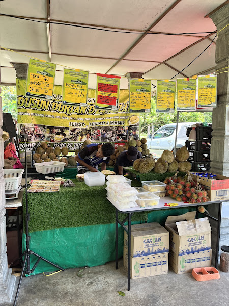 Dusun Durian D24 Azlan Gopeng Perak