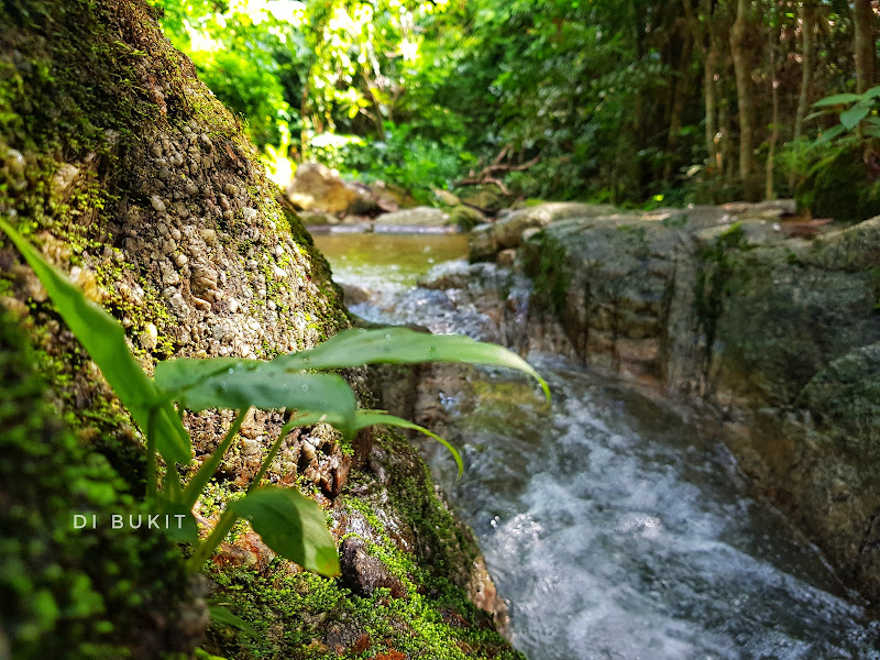 Di Bukit Sg Rusa