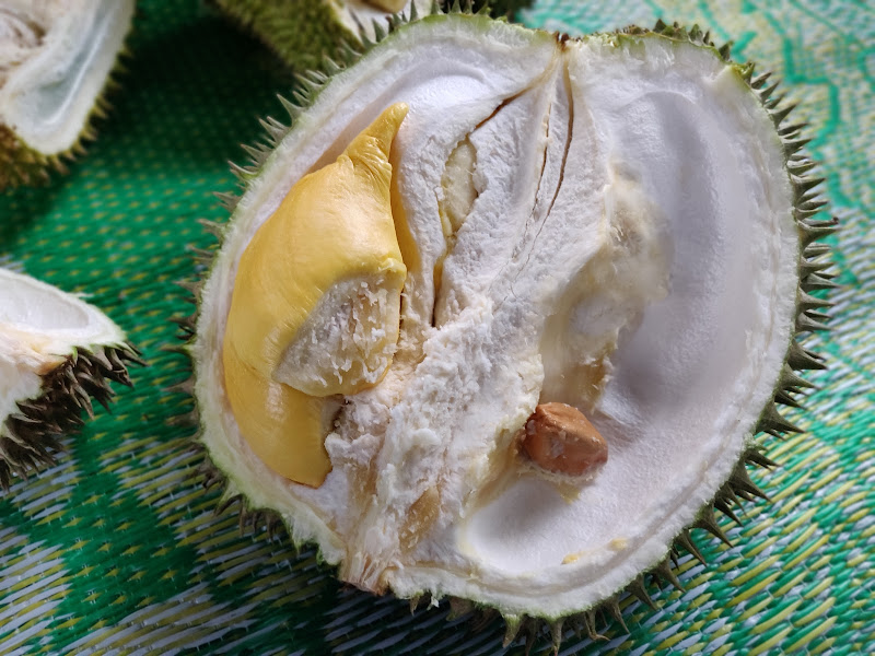 Dusun Durian Landak