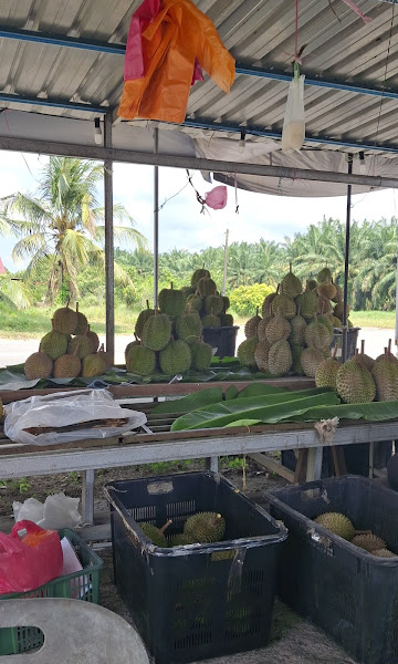 Gerai Durian Pak Haji Jamari