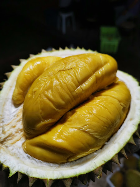 Bao jiak durian-包吃榴莲