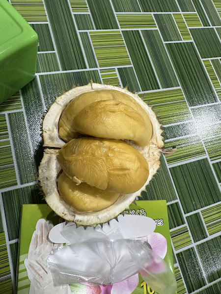 169 Durian Balik Pulau