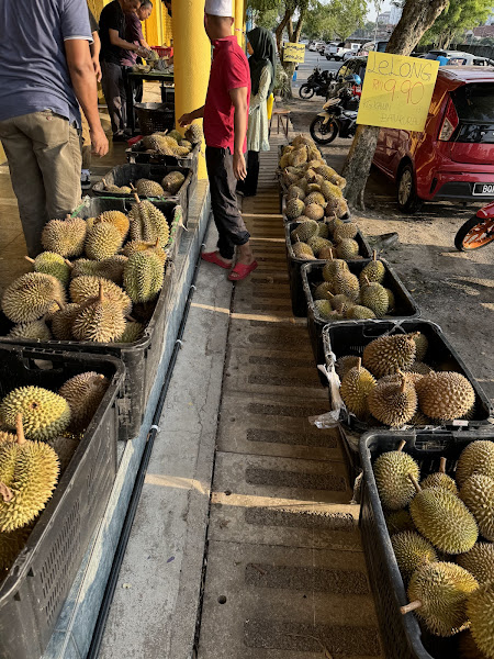 Ezydurian Shah Alam