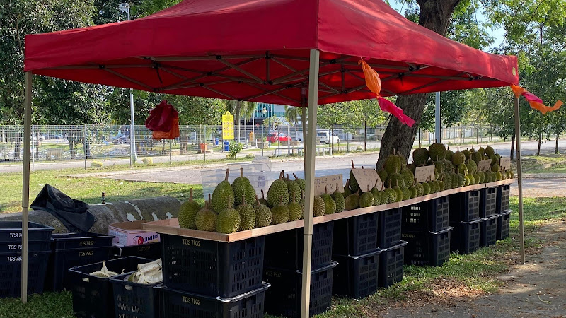 The Chubby Durian