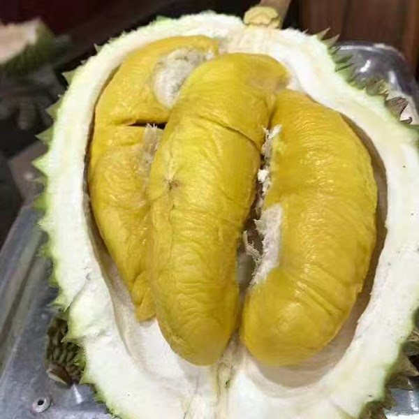 Cintar Durian Sdn Bhd
