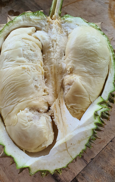 Seng durian