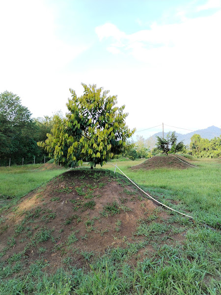 Kebun Durian Ridzuan