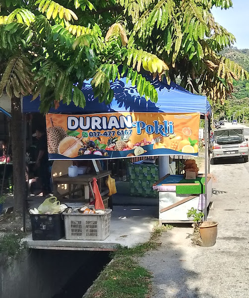 Durian Pokli Balik Pulau