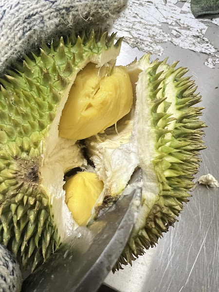 Century good durian house (kampar)