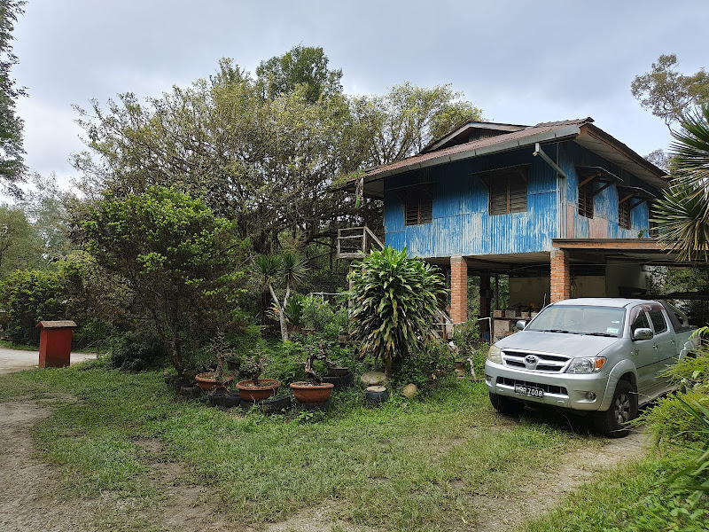 随园 Seng Durian Farm