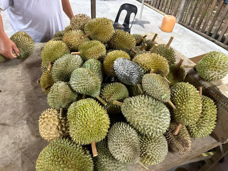 The Original Red Prawn Durian Shop (Seasonal)