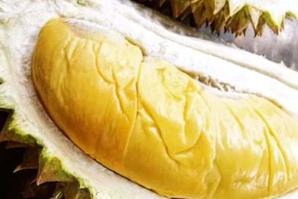 D28 Creamy Bun