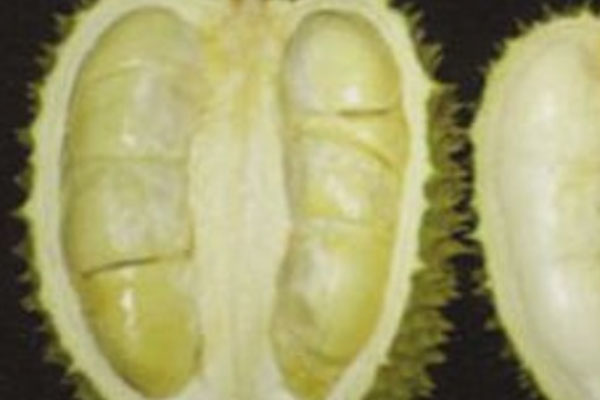 D16