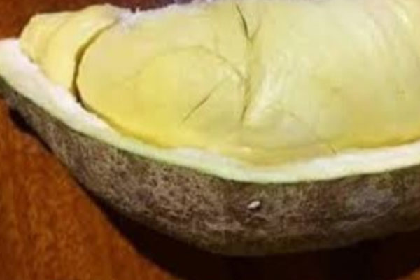 Durian Botak (Bald Durian)