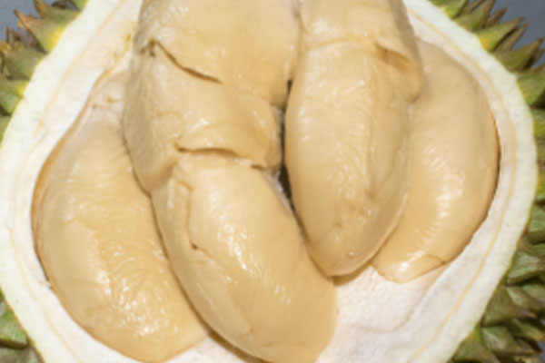 Durian Madu (Honey Durian)