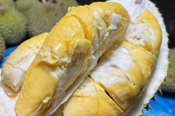 D118 Durian Tembaga (Copper Durian)