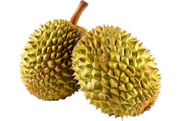 D139 Senggarang 4