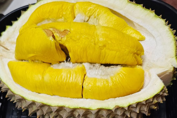 D197 Musang King (Mau Shan Wang)