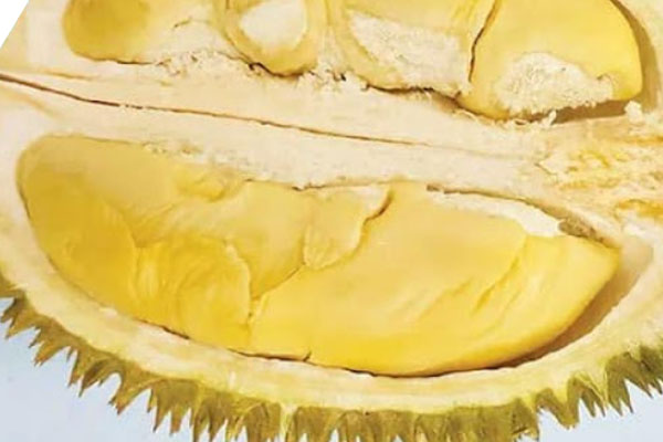 Durian Special